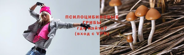 МДМА Белокуриха
