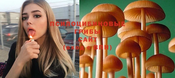 МДМА Белокуриха