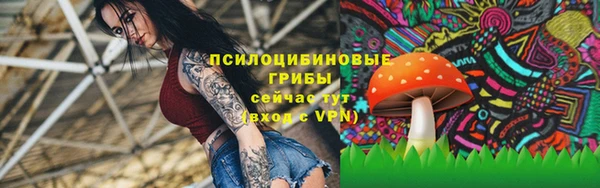 МДМА Белокуриха